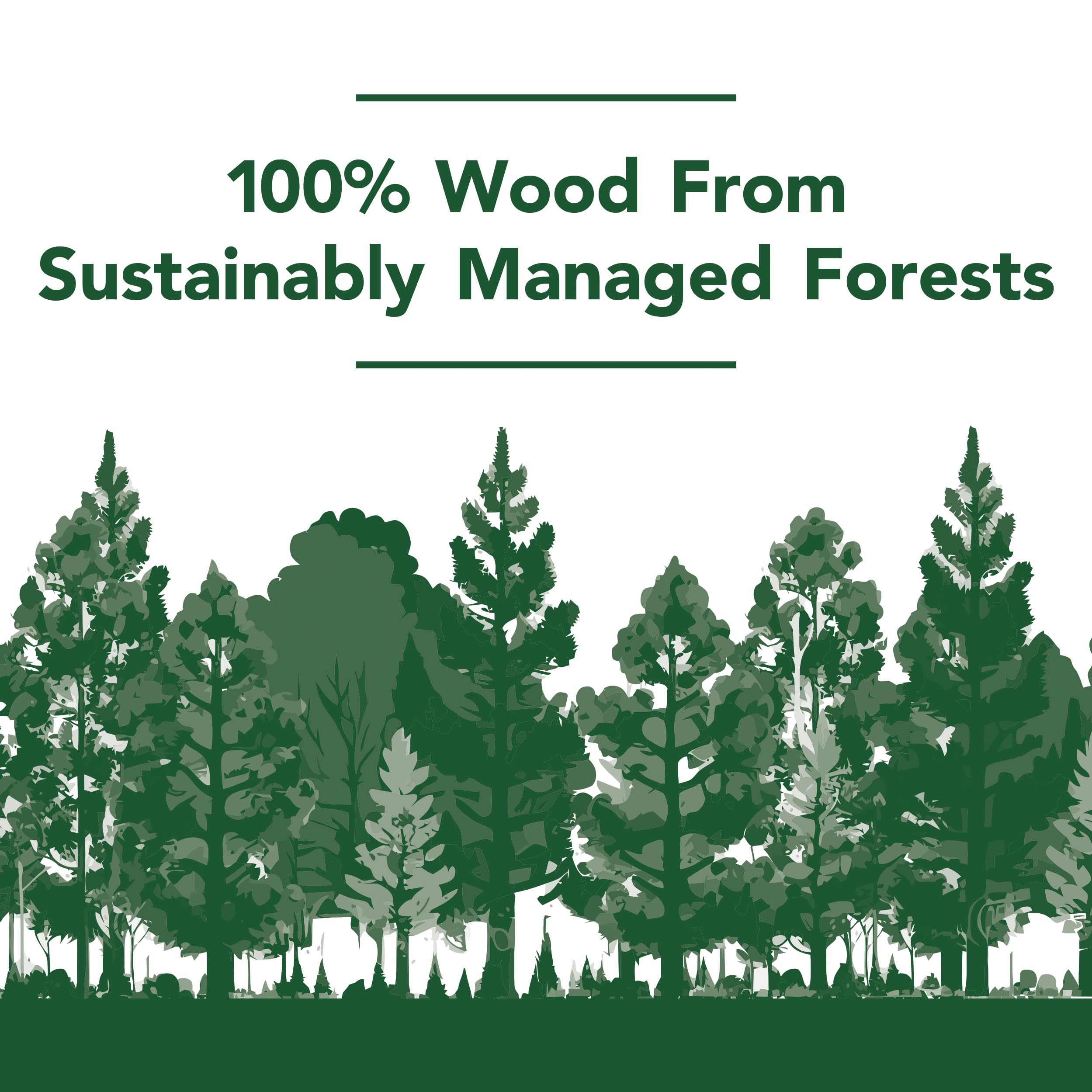 Ticonderoga Wood-Cased Pencils, Pre-Sharpened, 2 HB Soft, Yellow, 1000 Count - Image 5